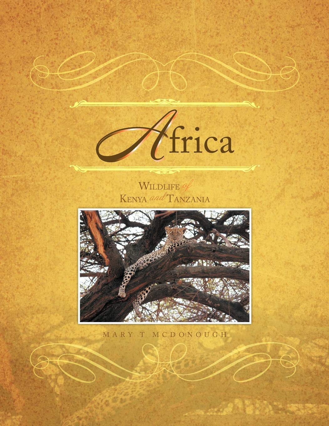 Africa: Wildlife of Kenya and Tanzania,Used
