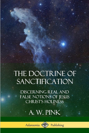 The Doctrine of Sanctification: Discerning real and false notions of Jesus Christs Holiness,Used