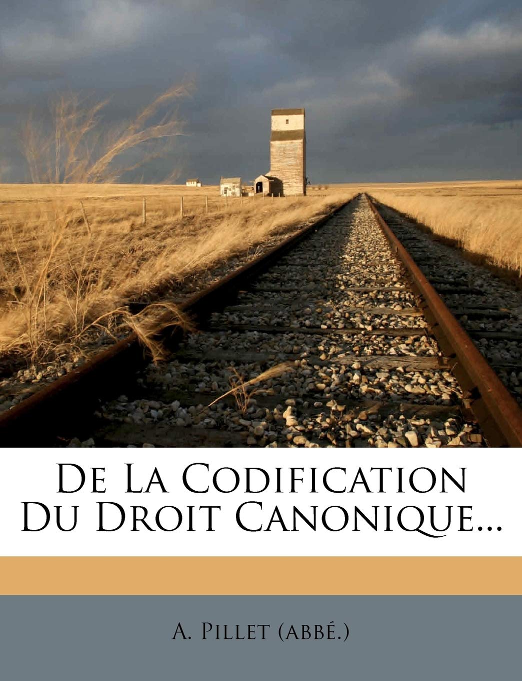De La Codification Du Droit Canonique... (French Edition),Used