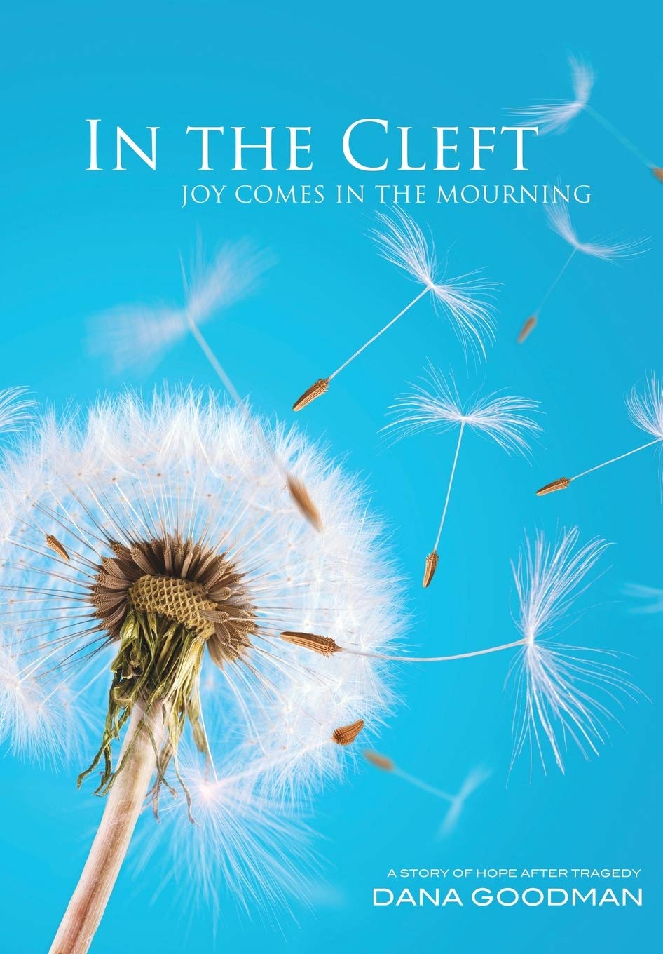 In the Cleft: Joy Comes in the Mourning,New