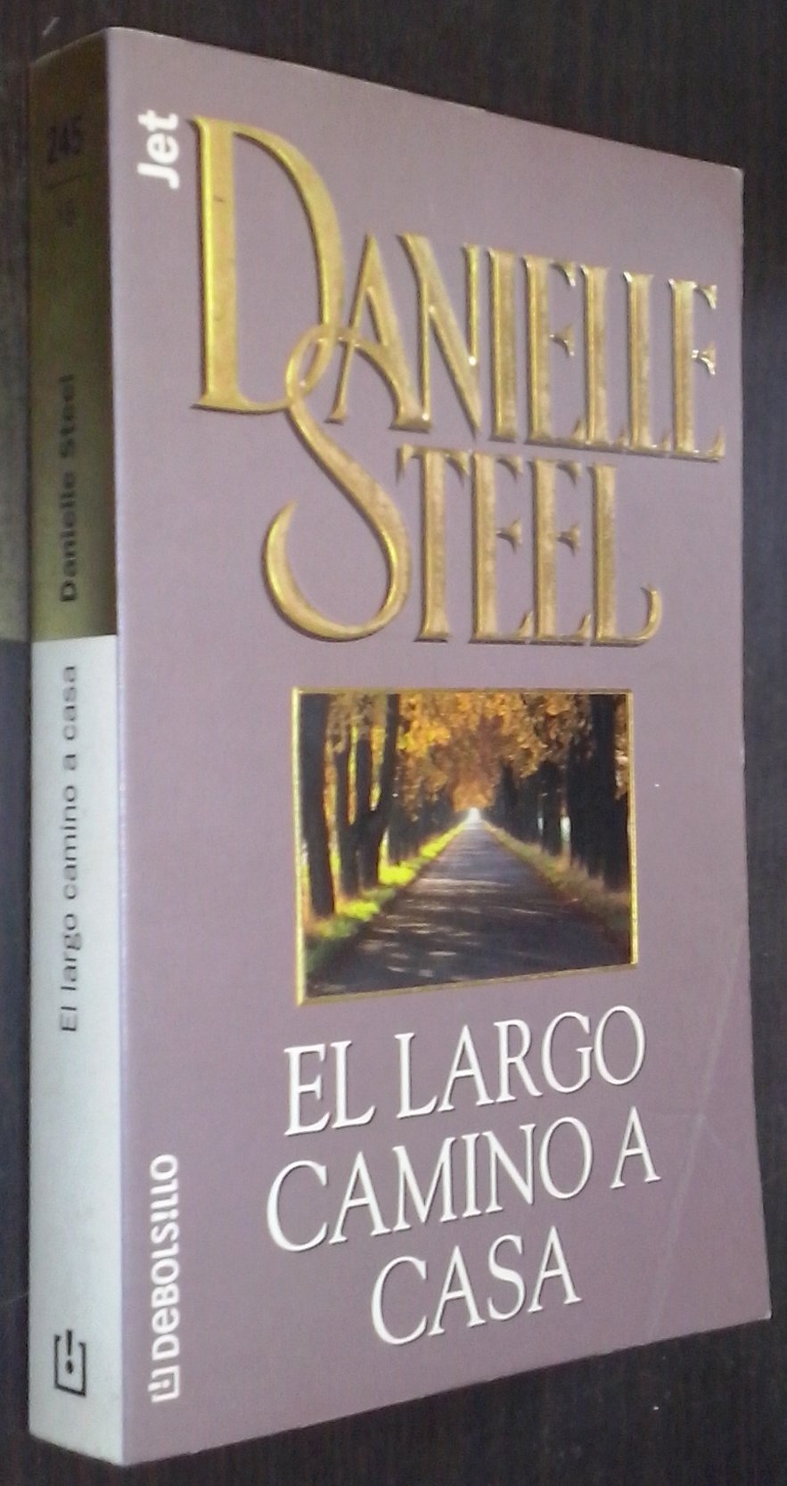 El Largo Camino A Casa,Used