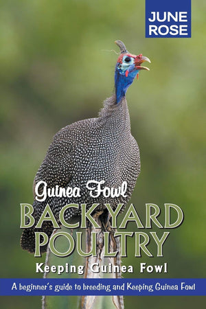 Guinea Fowl, Backyard Poultry: Keeping Guinea Fowl,Used