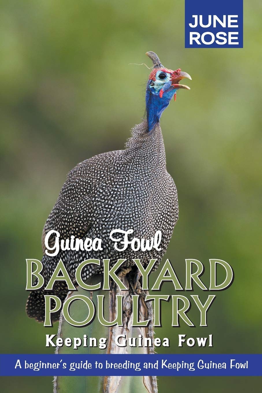 Guinea Fowl, Backyard Poultry: Keeping Guinea Fowl,Used