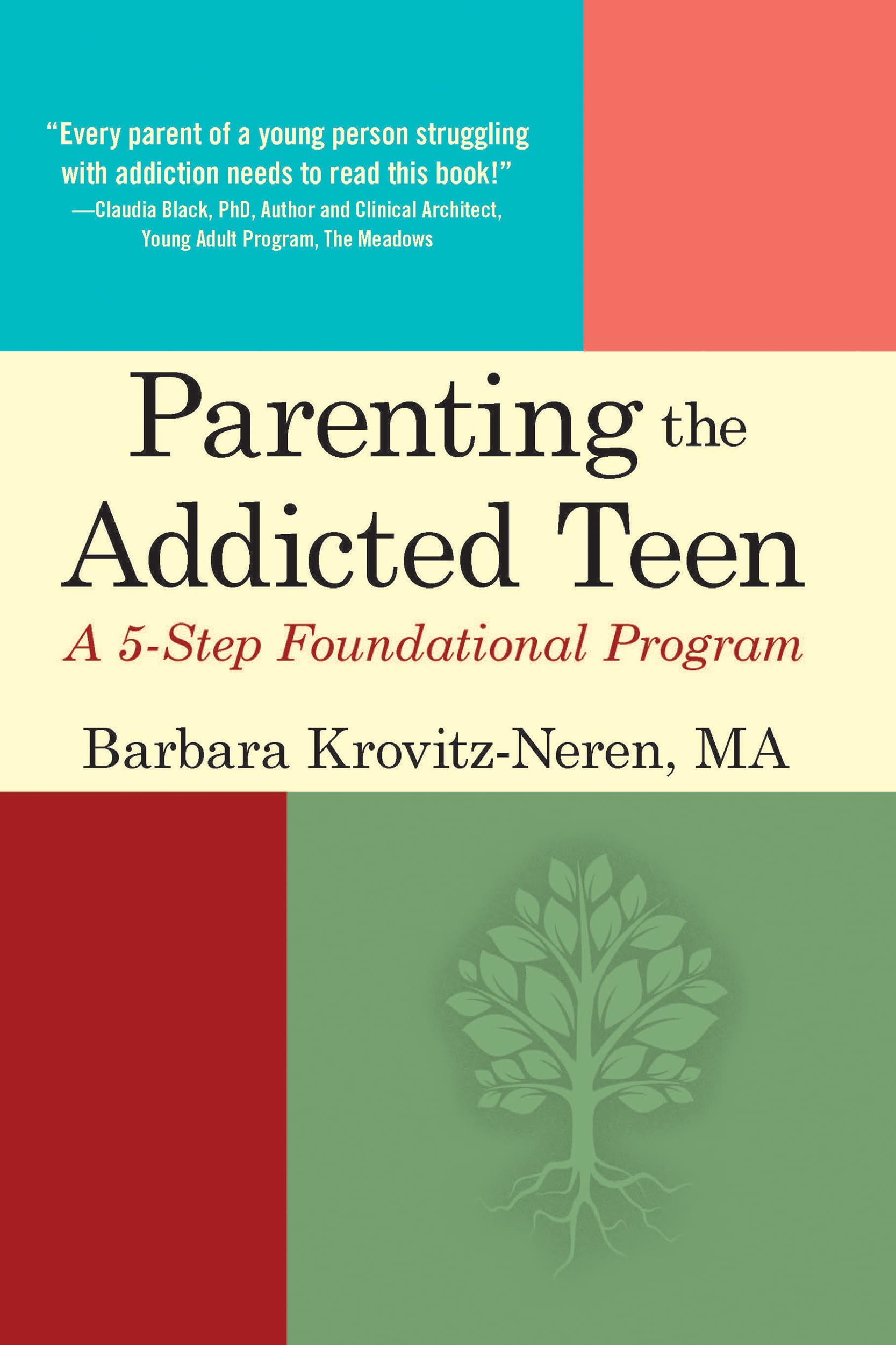 Parenting the Addicted Teen: A 5Step Foundational Program,Used