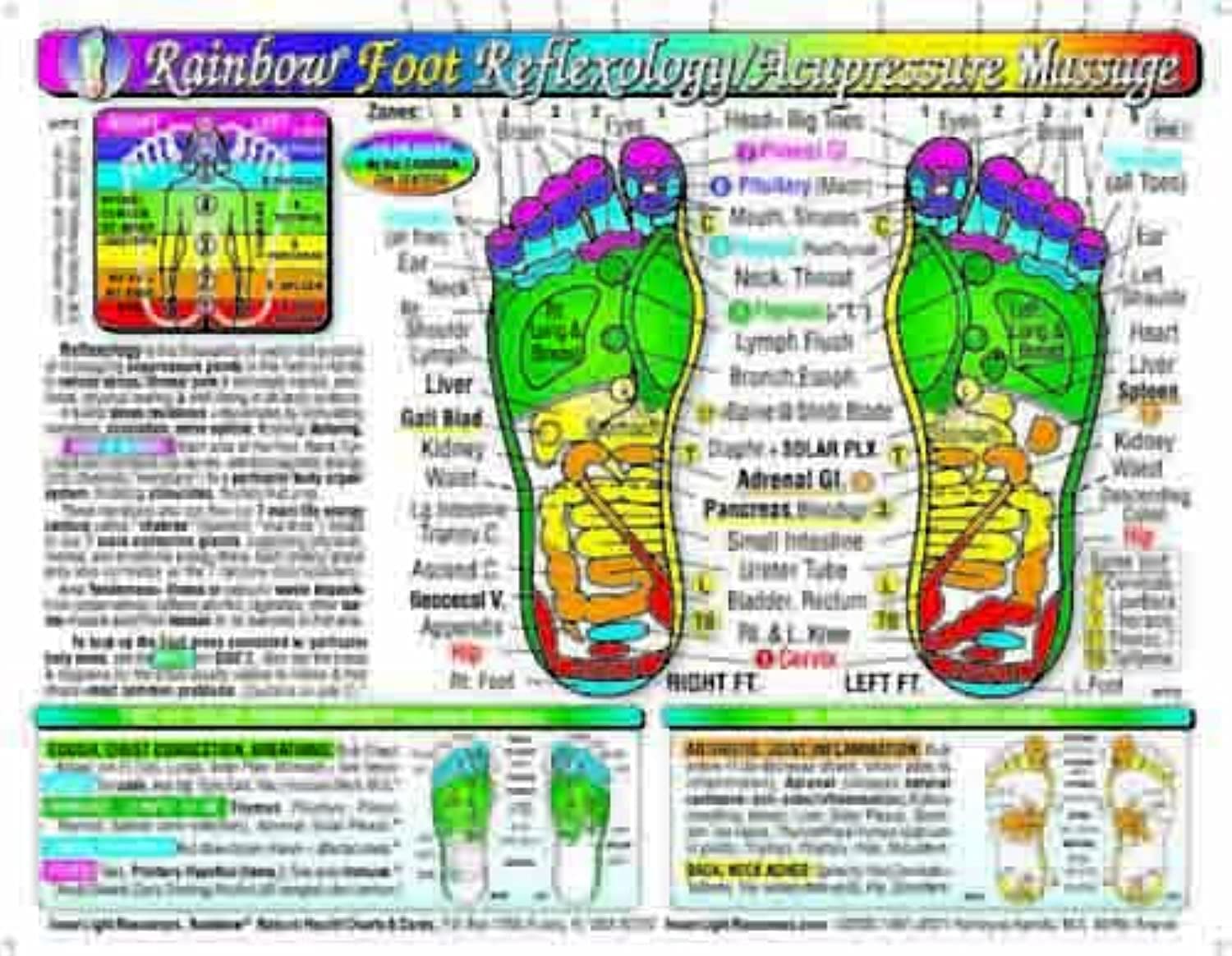 Rainbow FOOT Reflexology/ Acupressure Massage CHART in the Inner Light Resources Rainbow Cards & Charts Series. 8.5 x 11 in; 2s