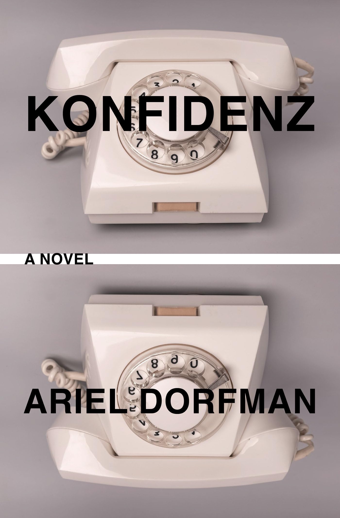 Konfidenz: A Novel
