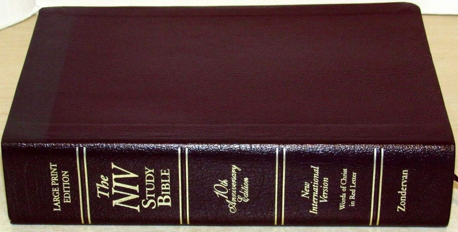 Niv Study Bible, Large Print