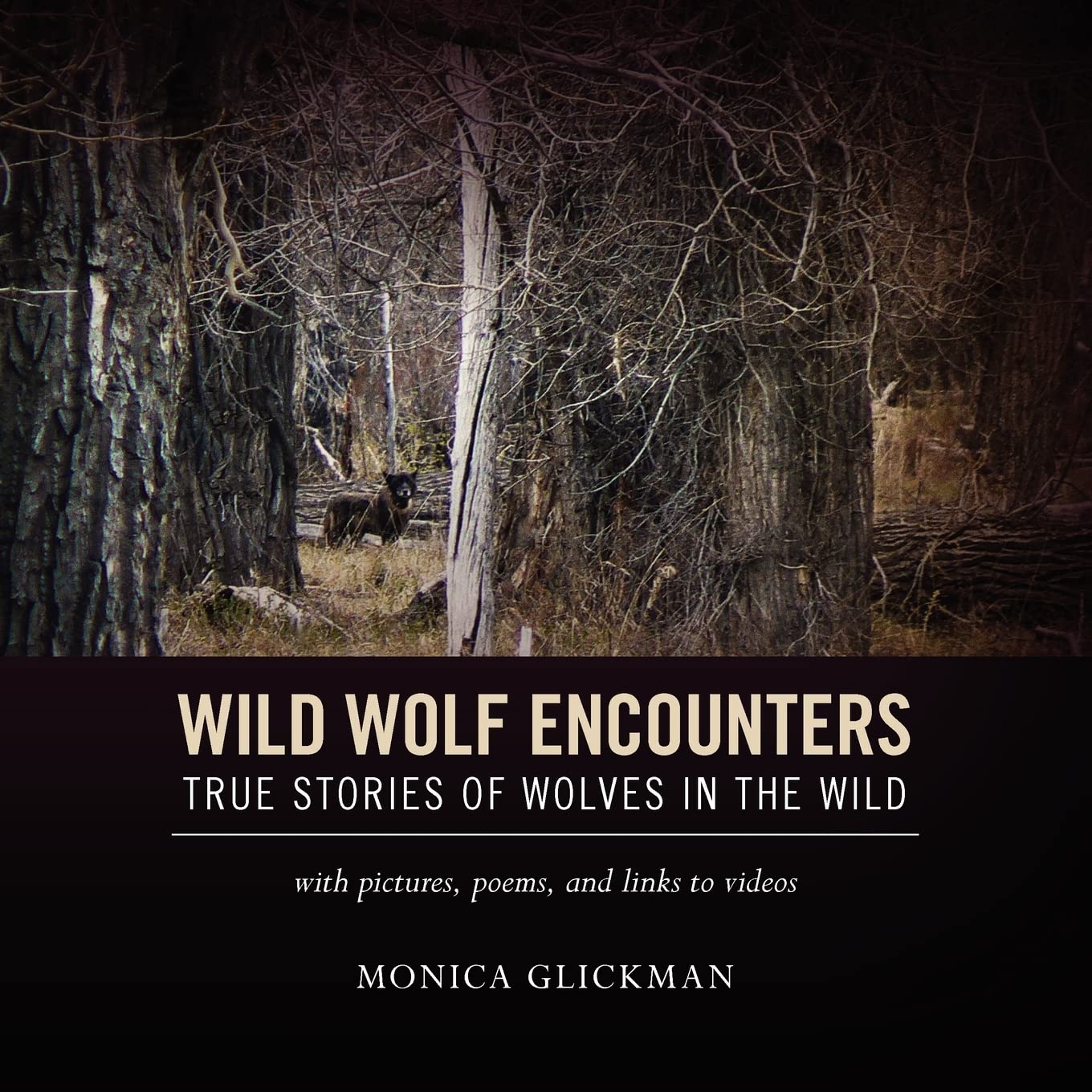 Wild Wolf Encounters: True Stories Of Wolves In The Wild With Pictures, Poems, And Links To Videos,Used