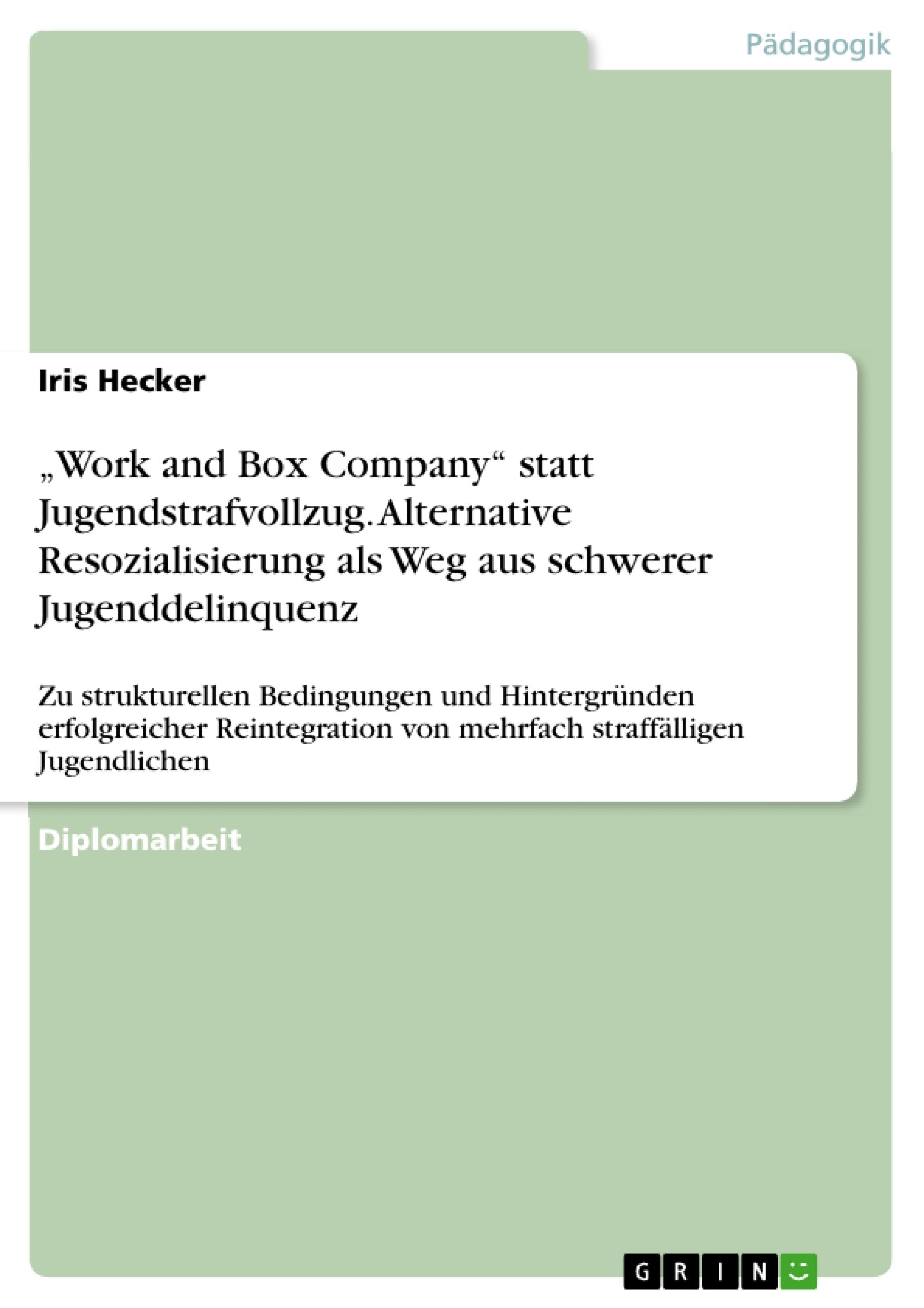 Work And Box Company' Statt Jugendstrafvollzug. Alternative Resozialisierung Als Weg Aus Schwerer Jugenddelinquenz: Zu Struktur,Used