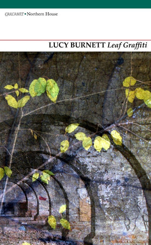 Leaf Graffiti,Used