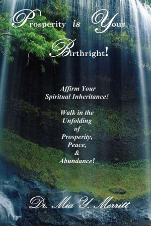 Prosperity Is Your Birthright,Used