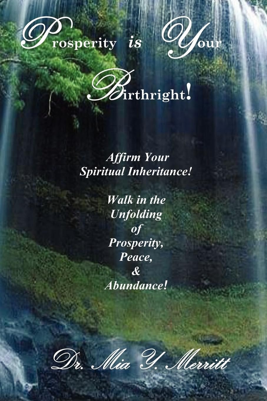 Prosperity Is Your Birthright,Used