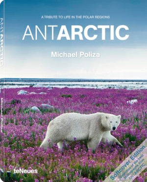 Antarctic (English And Spanish Edition),Used