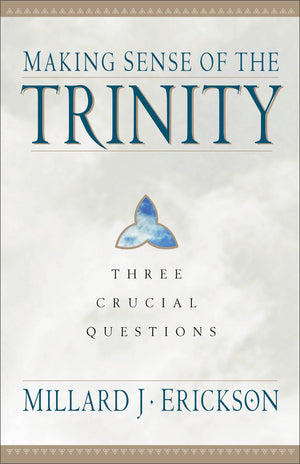 Making Sense of the Trinity: Three Crucial Questions,Used