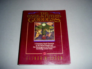 The Once and Future Goddess: A Symbol For Our Time,Used