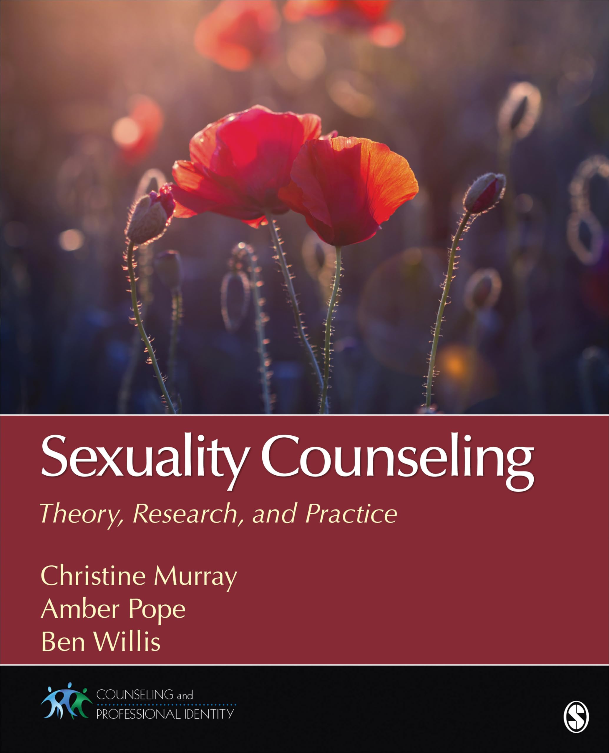 Sexuality Counseling: Theory, Research, and Practice (Counseling and Professional Identity),Used