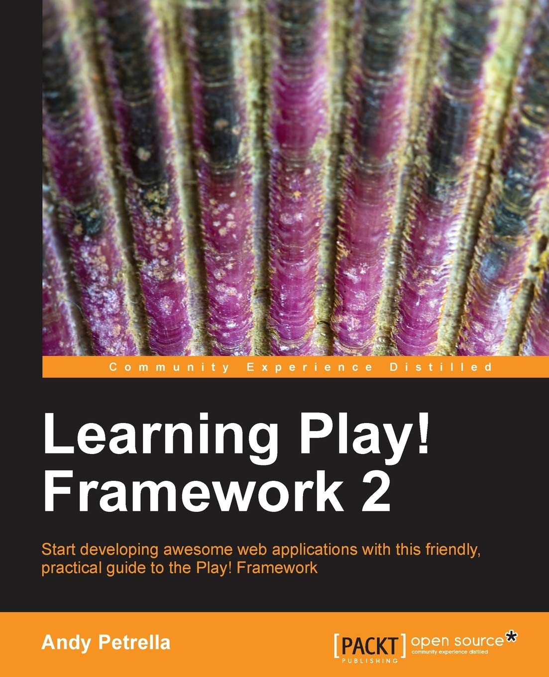 Learning Play! Framework 2,Used