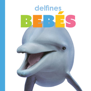 Delfines bebs/ Baby Dolphins (El principio de los/ Starting Out) (Spanish Edition),Used
