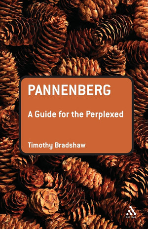 Pannenberg: A Guide for the Perplexed (Guides for the Perplexed),Used