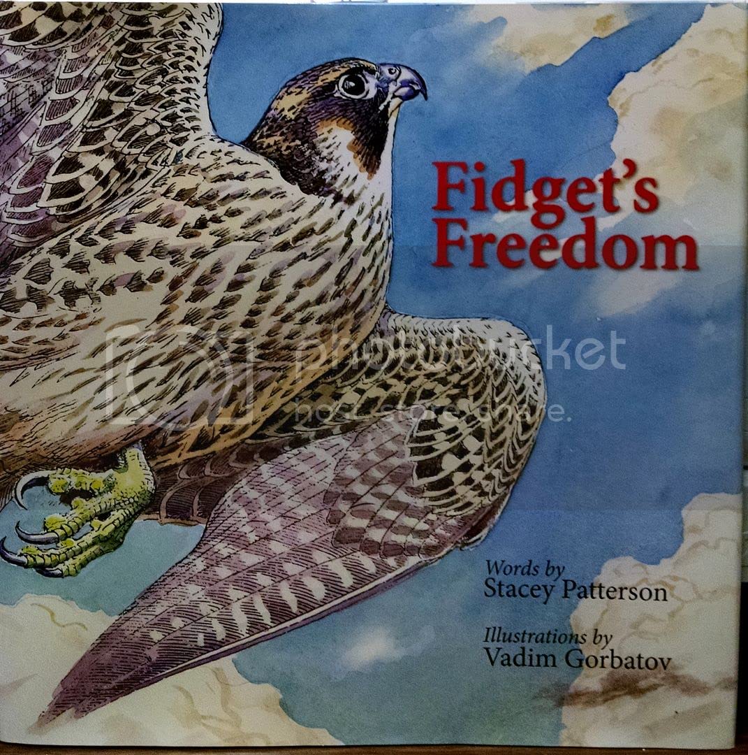 Fidget'S Freedom (Practical Handbook),New