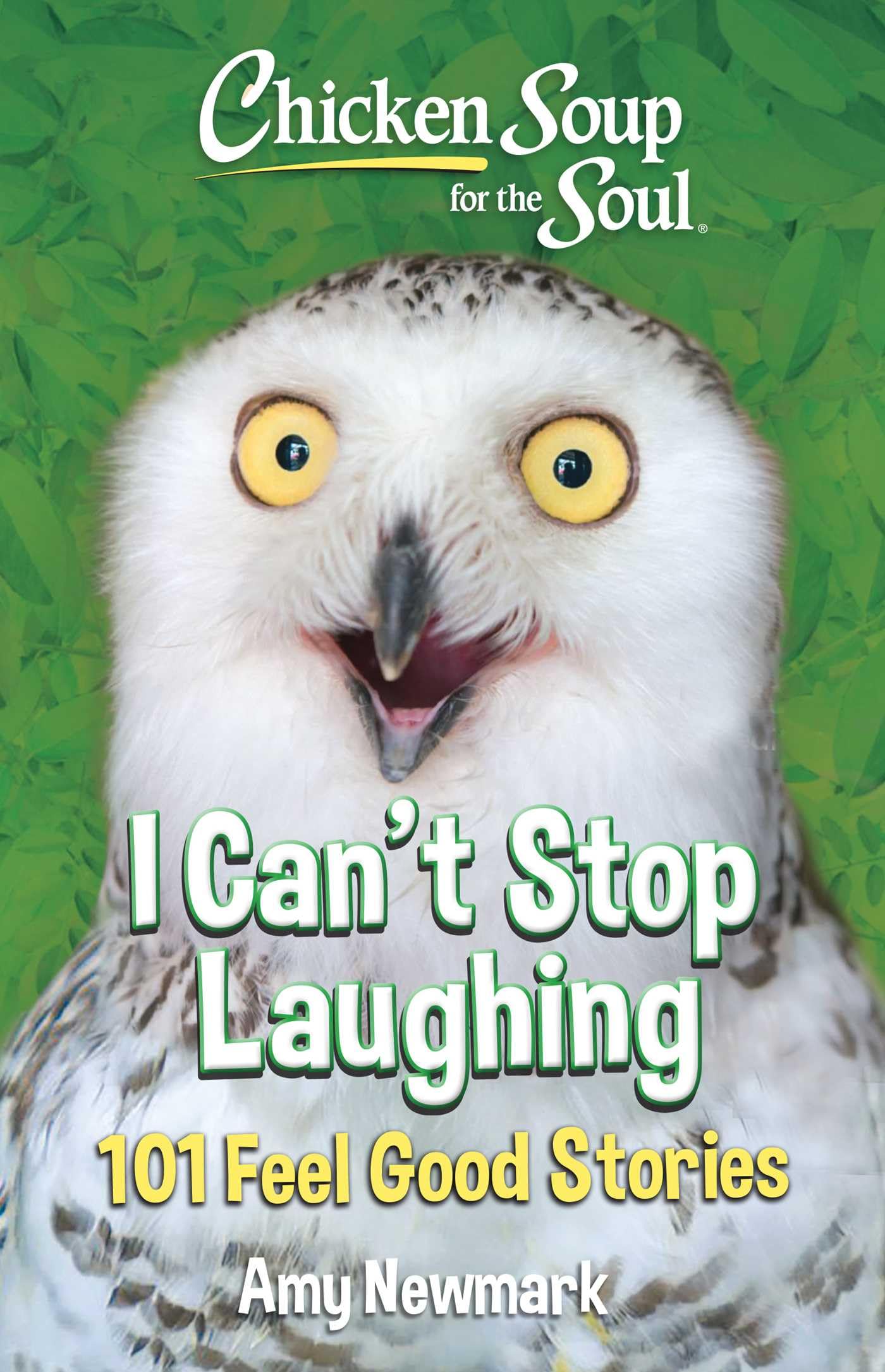 Chicken Soup For The Soul: I CanT Stop Laughing: 101 FeelGood Stories