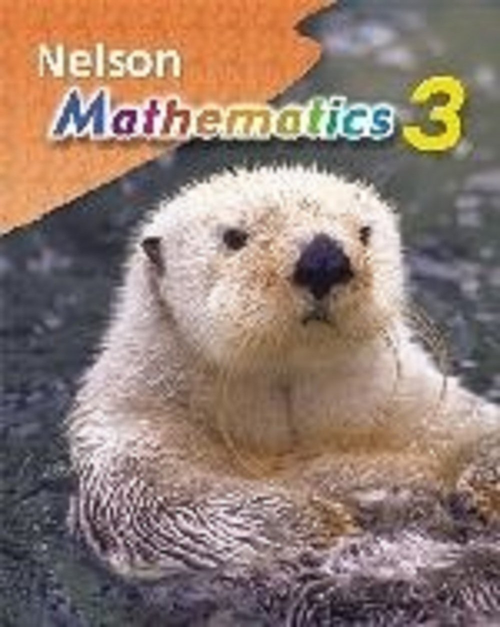 Nelson Mathematics 3 Workbook,Used