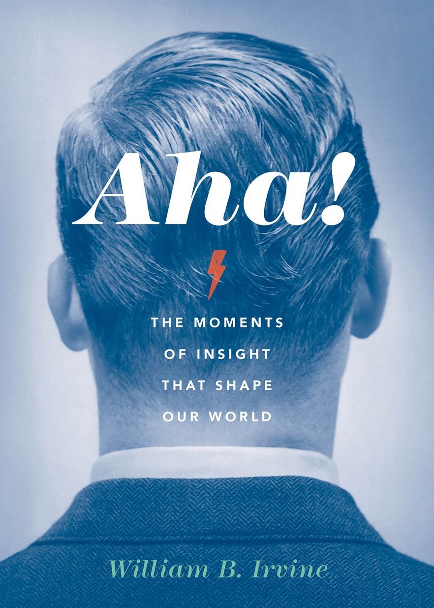 Aha!: The Moments of Insight that Shape Our World,Used