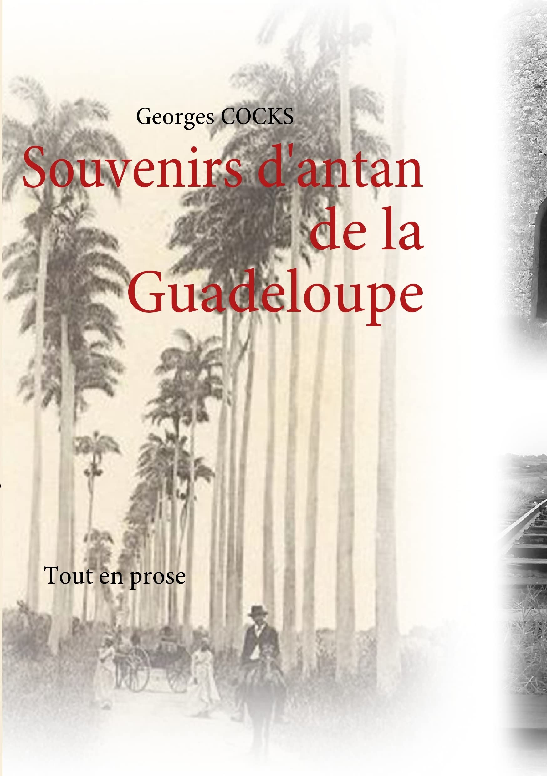 Souvenirs d'antan: Tout en prose (French Edition),Used