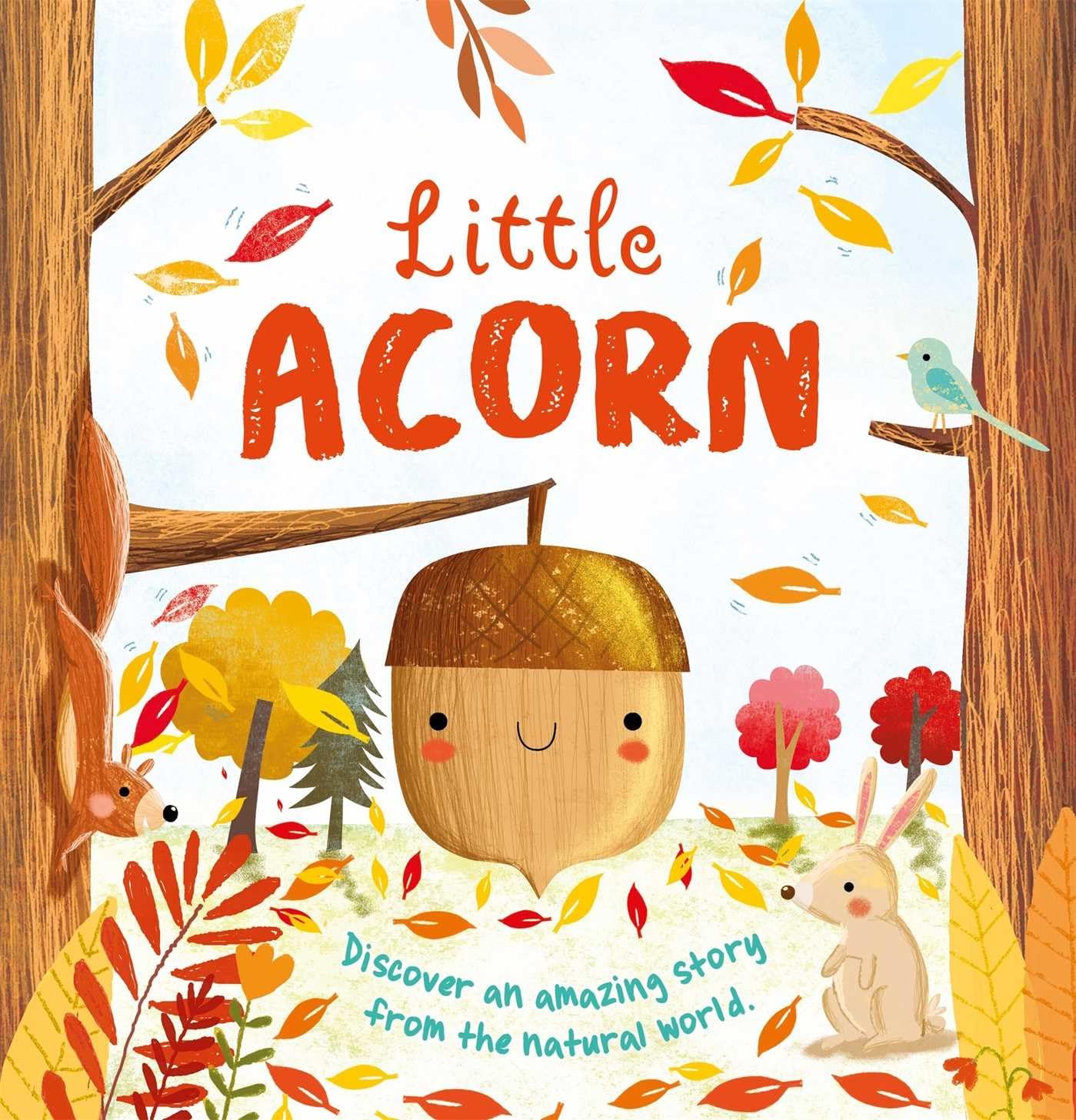 Nature Stories: Little Acorn: Padded Board Book,New