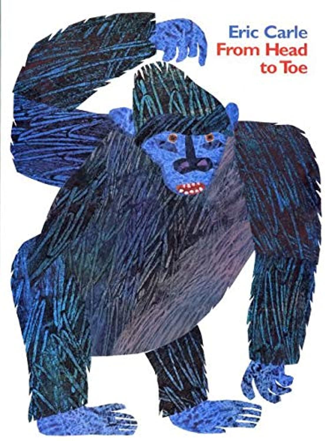 From Head to Toe Big Book,New