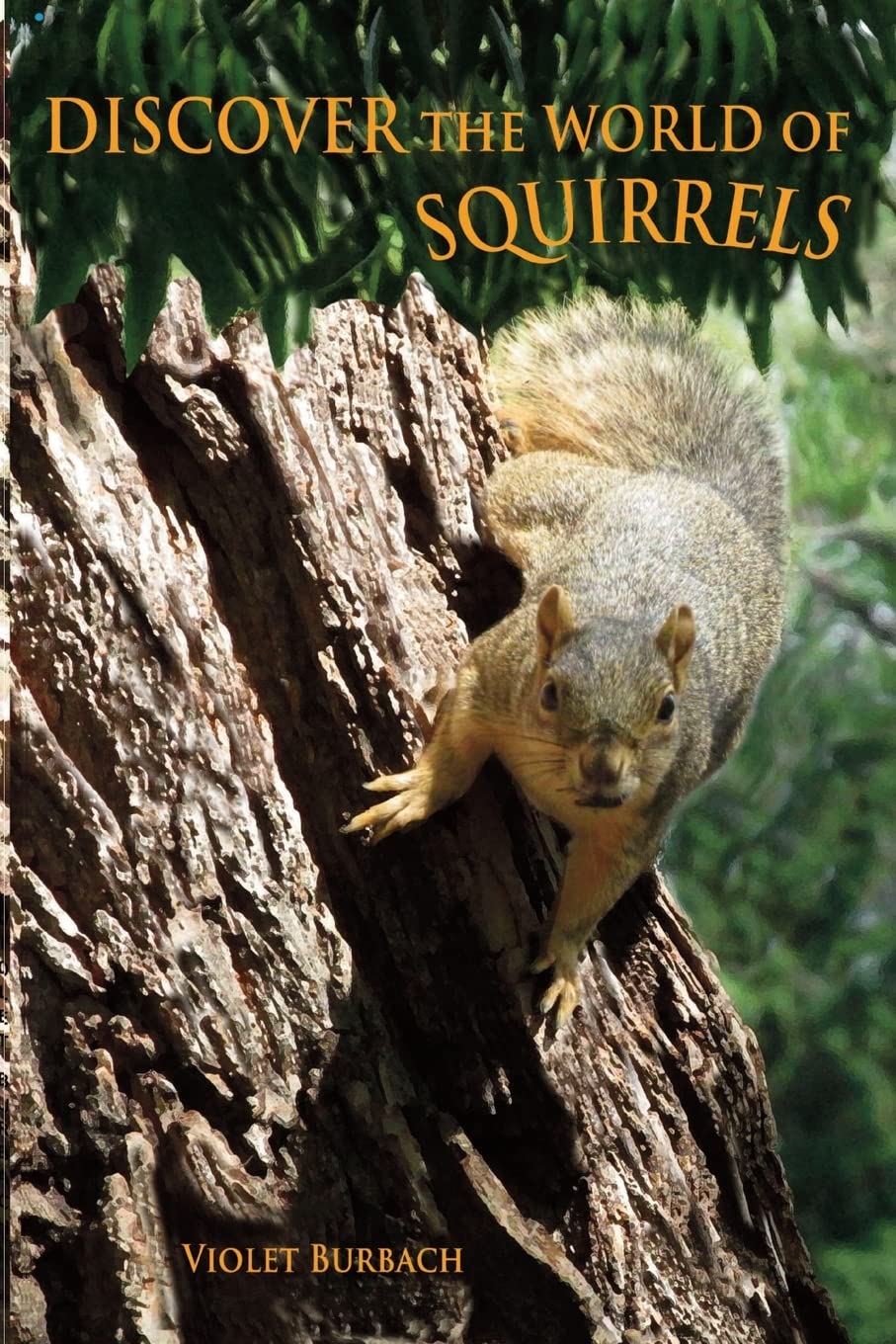 Discover The World Of Squirrels: Illustrated Kids Book With Fun Facts About Squirrels And Builds Kids Vocabulary