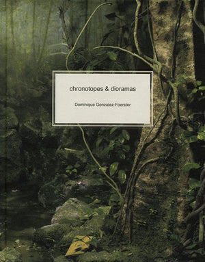 Dominique Gonzalezfoerster: Chronotopes & Dioramas,Used