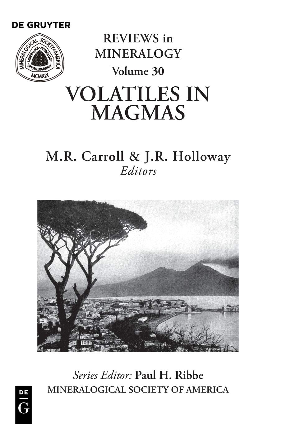 Volatiles In Magmas (Reviews In Mineralogy,),Used