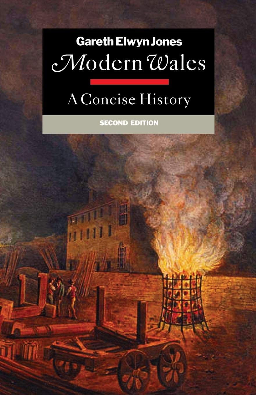 Modern Wales: A Concise History,Used