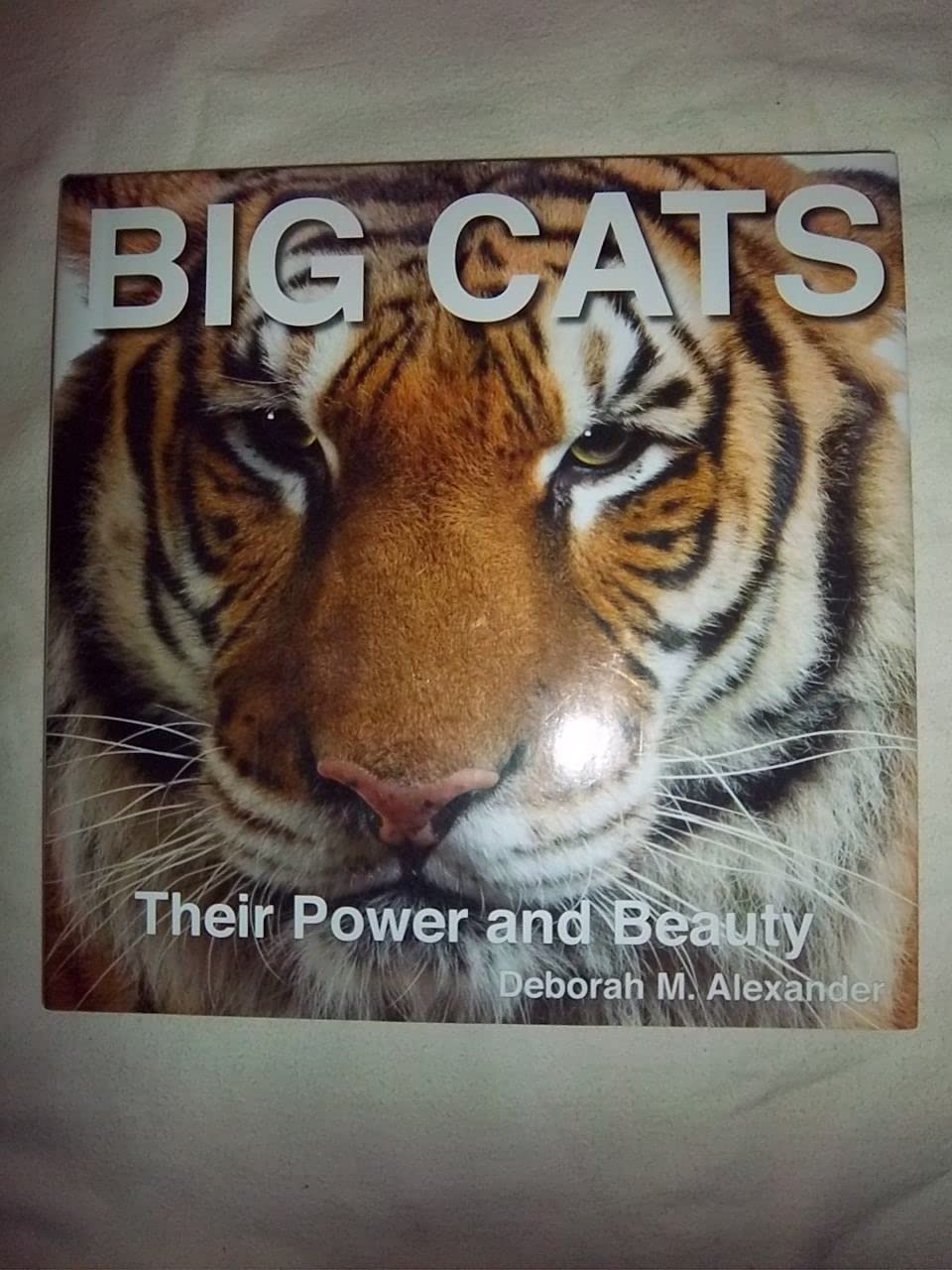 Big Cats: Their Power and Beauty,Used
