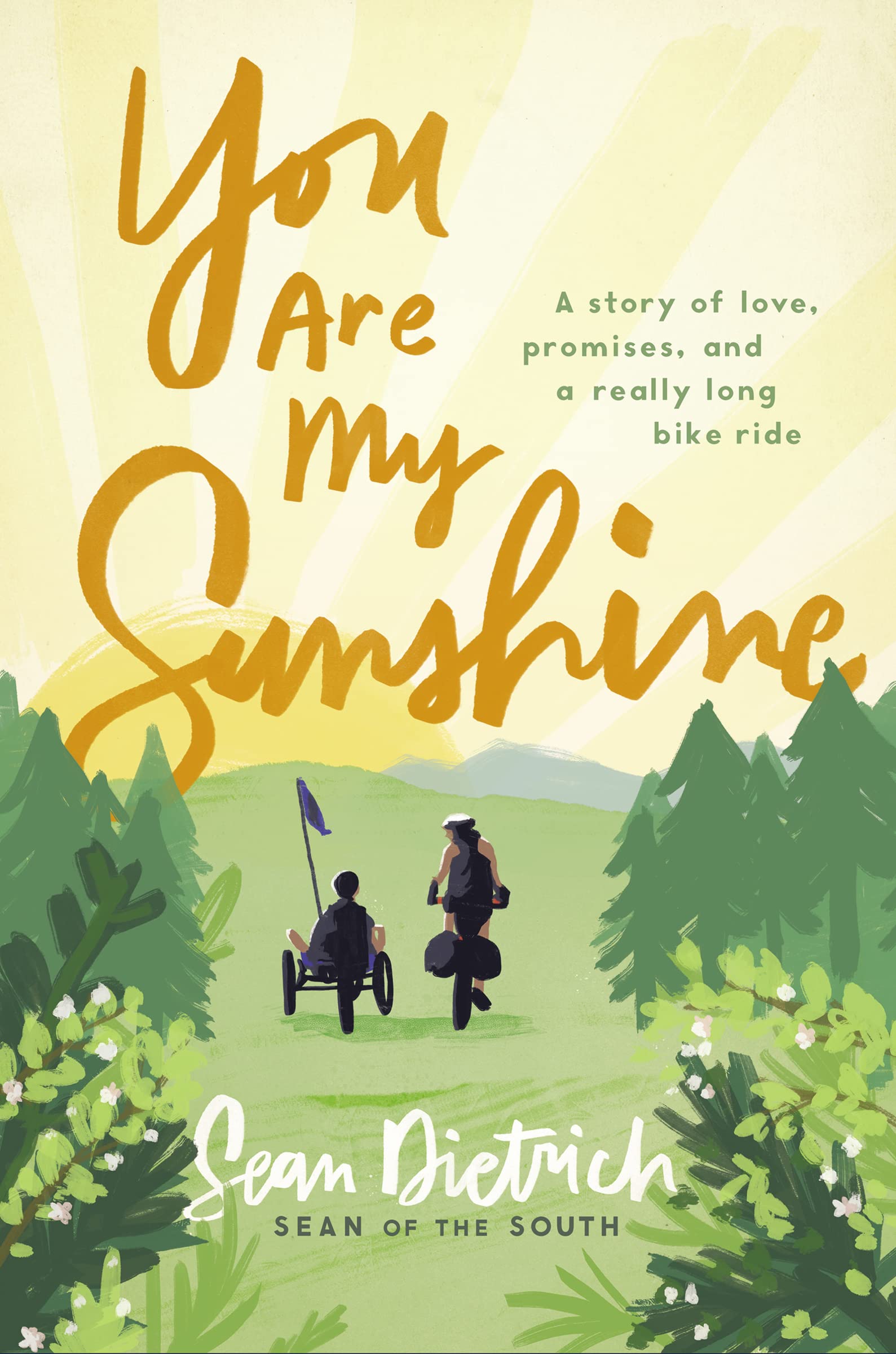 You Are My Sunshine: A Story of Love, Promises, and a Really Long Bike Ride (Sean of the South),Used