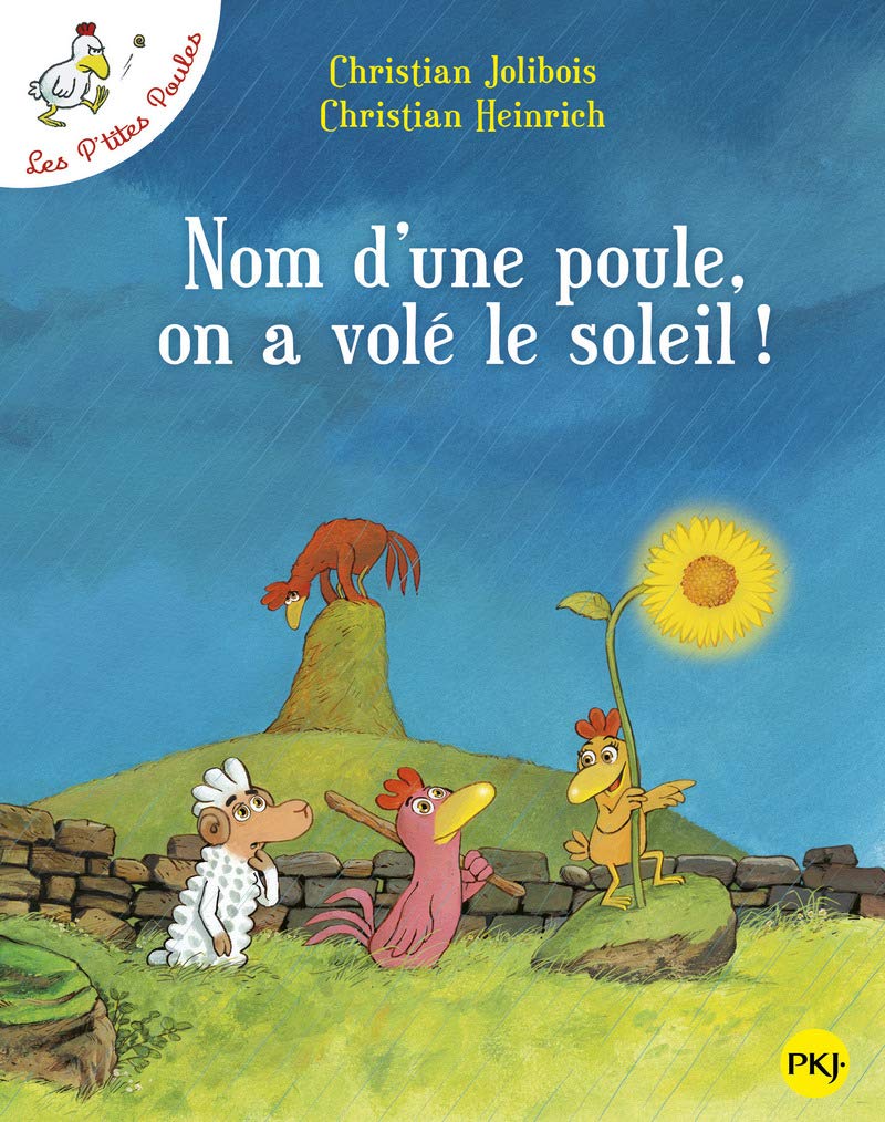 Nom Une Poule on a Vole Soleil (French Edition),Used