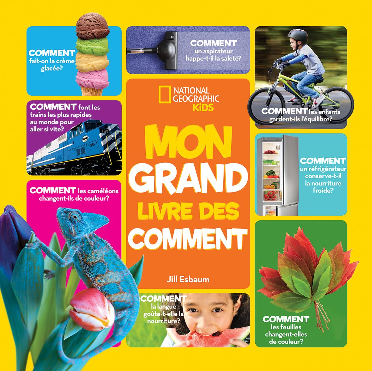 National Geographic Kids: Mon Grand Livre Des Comment (French Edition)