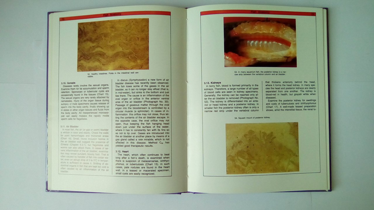 Handbook Of Fish Diseases