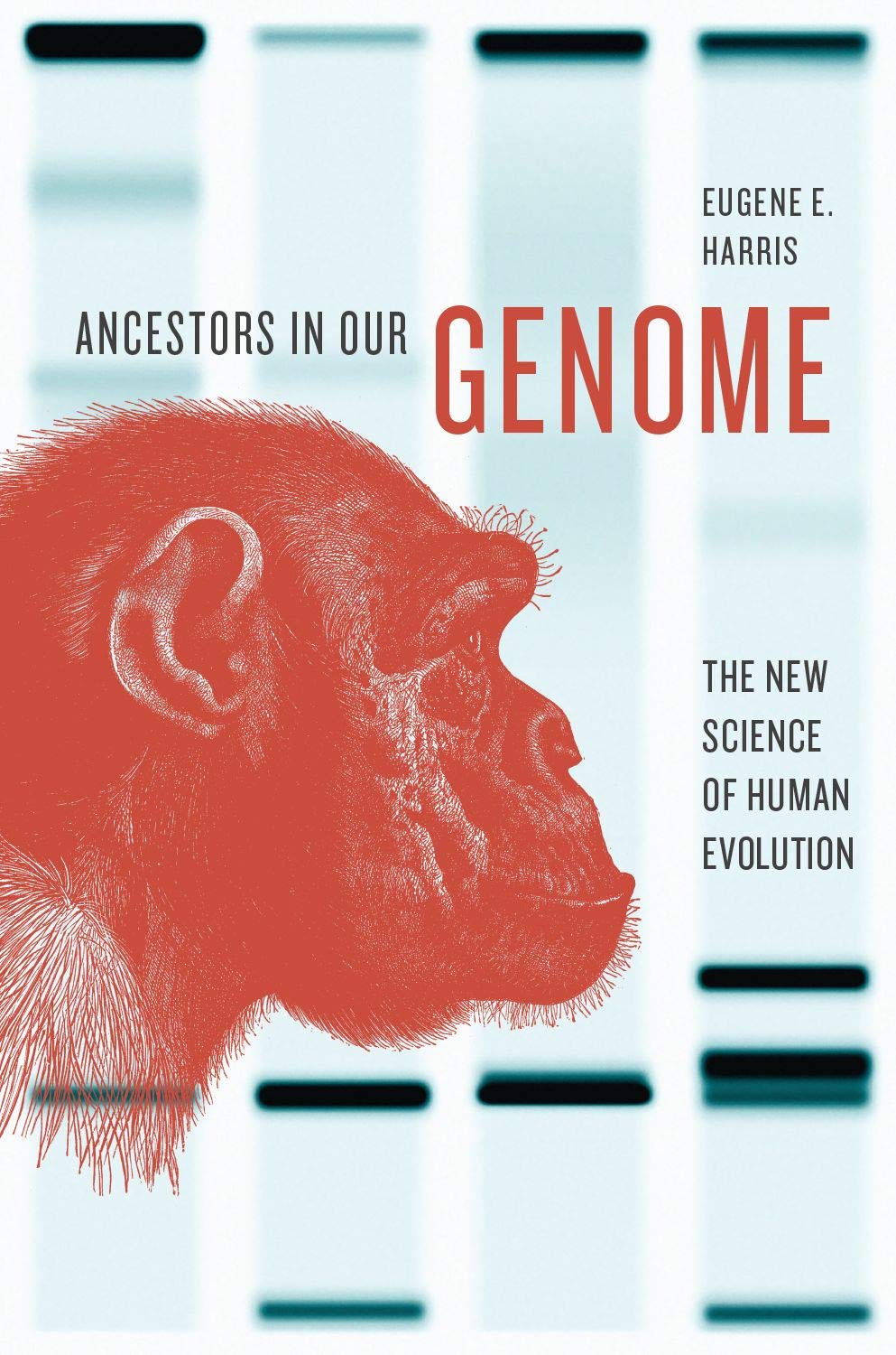 Ancestors in Our Genome: The New Science of Human Evolution,Used