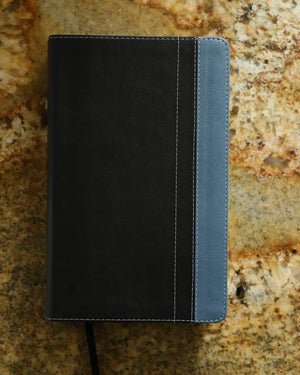 NIV, Men's Devotional Bible, Leathersoft, Charcoal Grey/Steel Blue,New