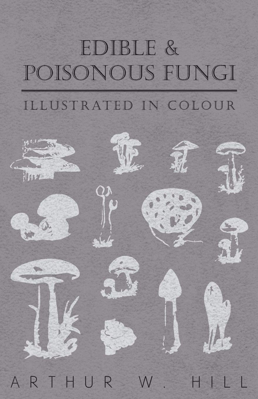 Edible And Poisonous Fungi  Illustrated In Colour,Used