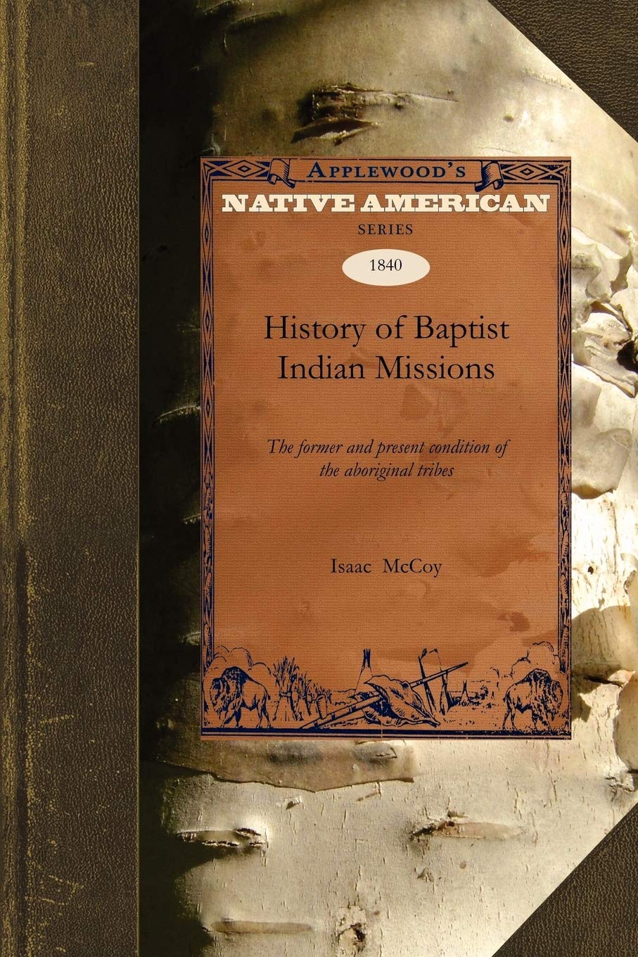 History of Baptist Indian Missions: The Former and Present Condition of the Aboriginal Tribes (Native American),Used