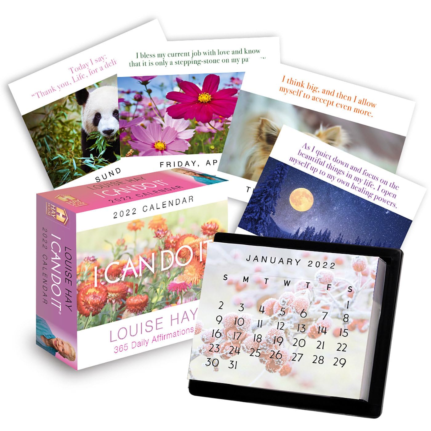 I Can Do It 2022 Calendar: 365 Daily Affirmations,New