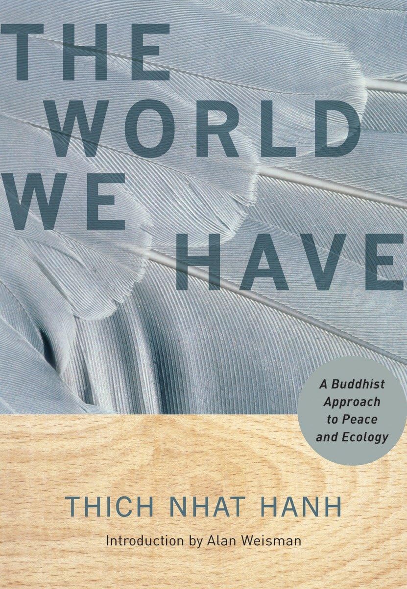 The World We Have: A Buddhist Approach To Peace And Ecology,Used