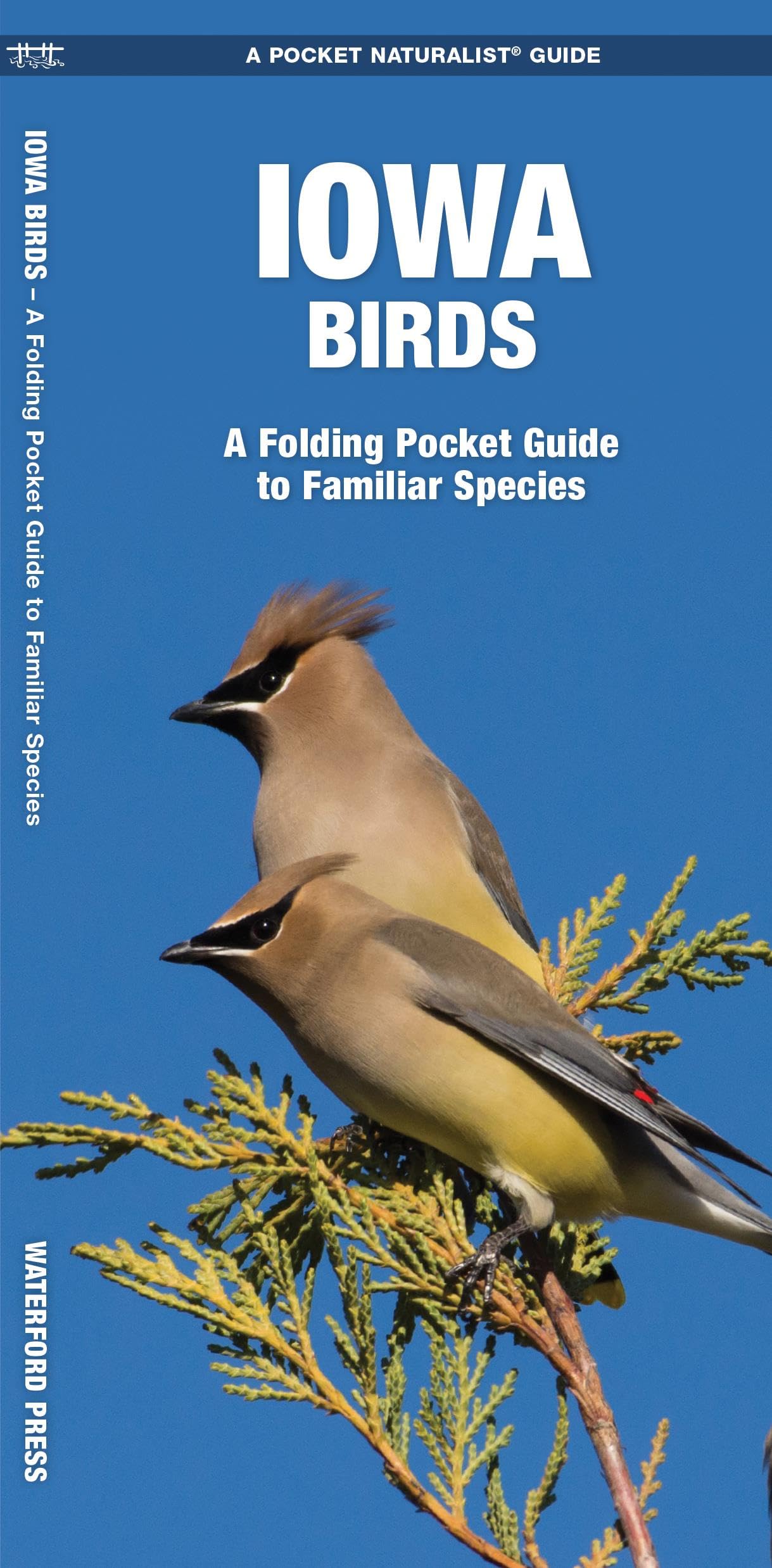 Iowa Birds: A Folding Pocket Guide to Familiar Species (Wildlife and Nature Identification),Used