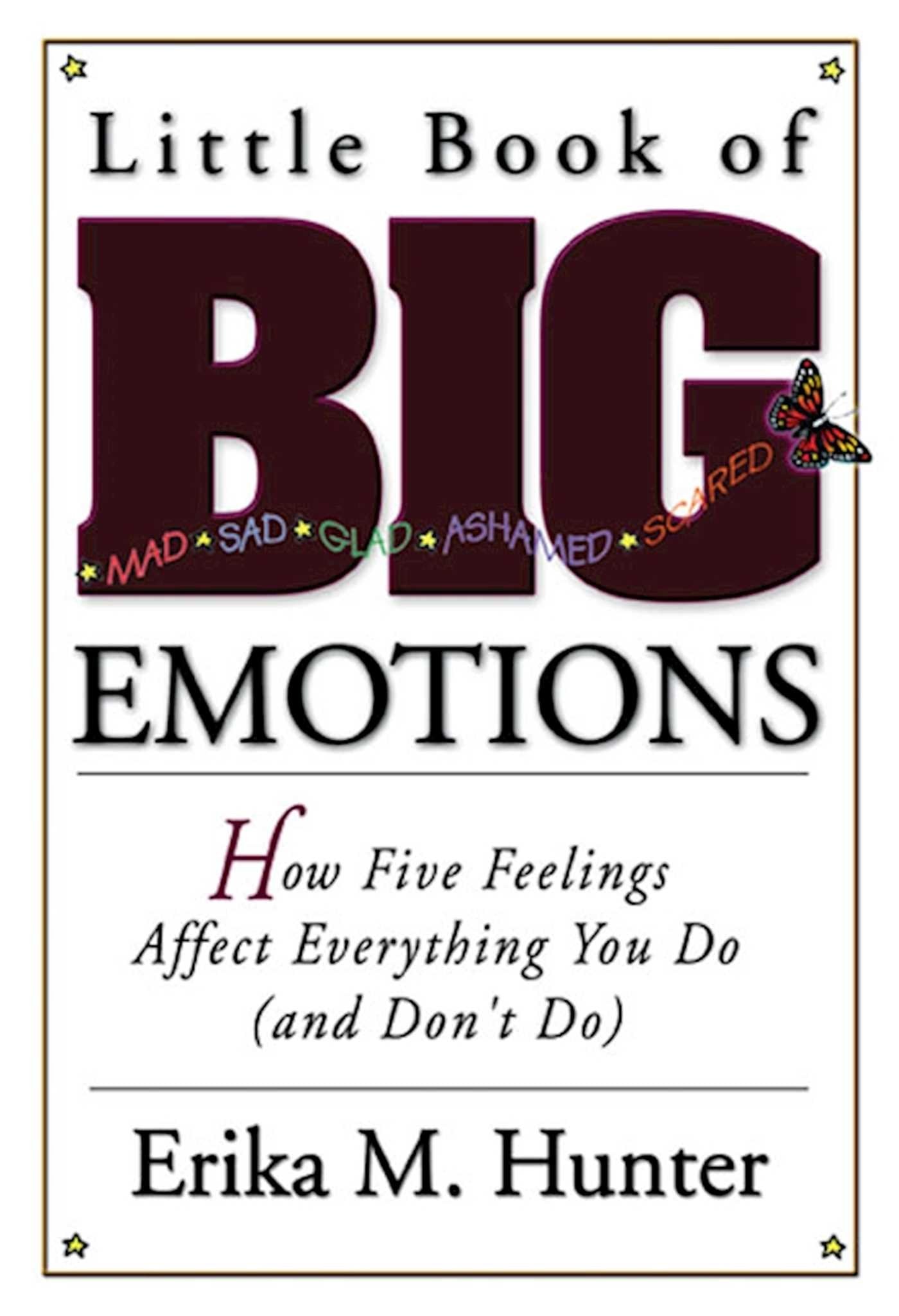 Little Book of Big Emotions: How Five Feelings Affect Everything You Do (and Don't Do),New