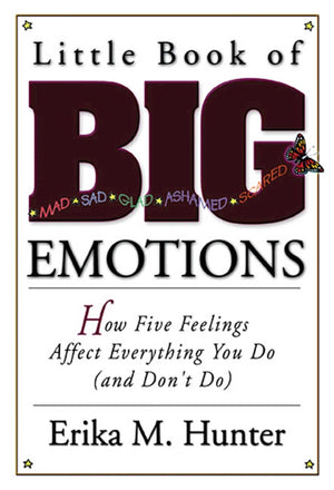 Little Book of Big Emotions: How Five Feelings Affect Everything You Do (and Don't Do),Used