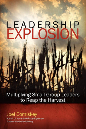 Leadership Explosion: Multiplying Cell Group Leaders for the Harvest,Used
