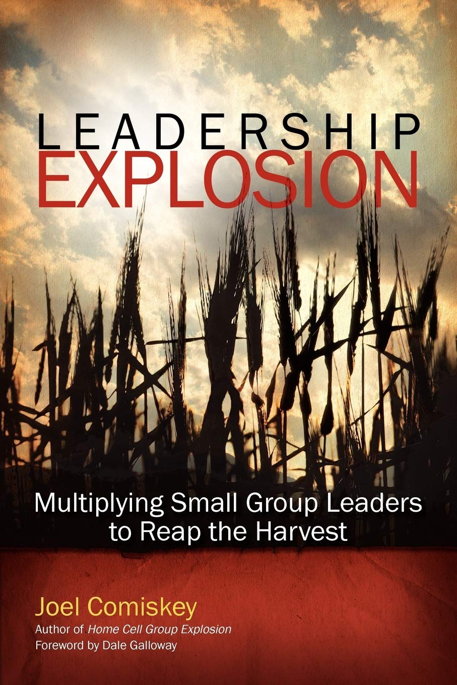 Leadership Explosion: Multiplying Cell Group Leaders for the Harvest,Used
